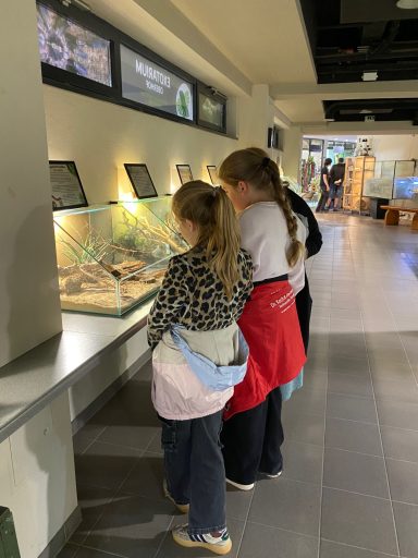 Kindercamp Oberhof 07/2026